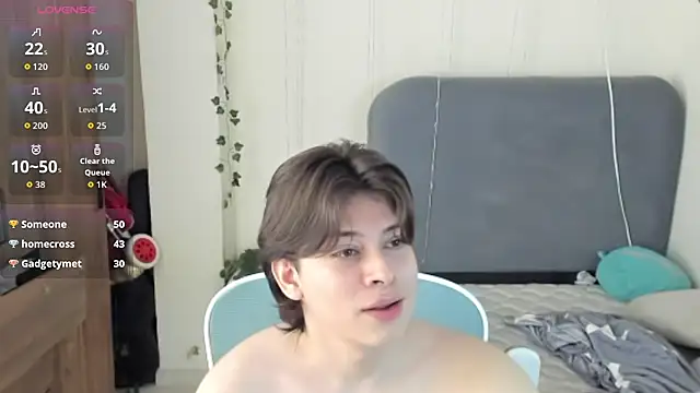 הופעת וובקאם של FelixSoft