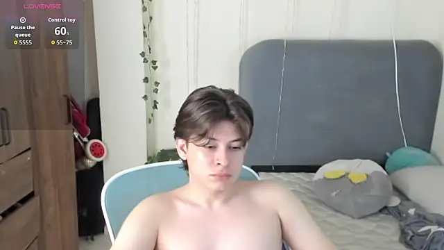 FelixSoft Webcam Show
