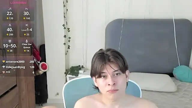FelixSoftn Webbikameraesitys