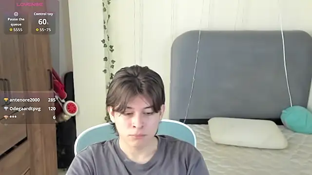 FelixSoft Webcam show