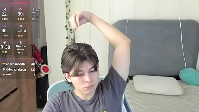 FelixSoft Webcam show
