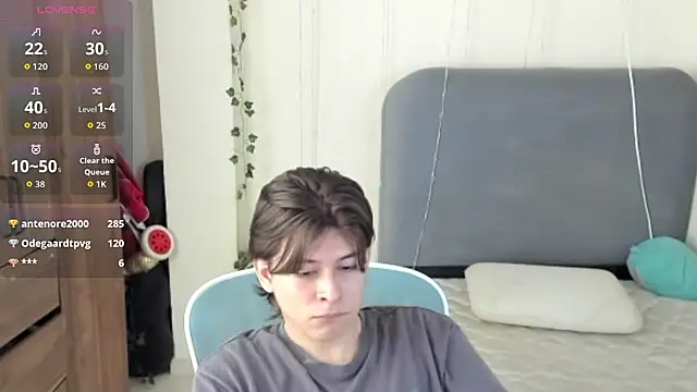 Show de webcam de FelixSoft