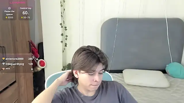 Show modela FelixSoft na web-kameri