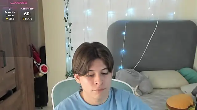 FelixSoft Шоу с уебкамера