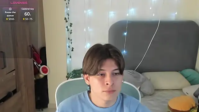 FelixSoft Show in webcam
