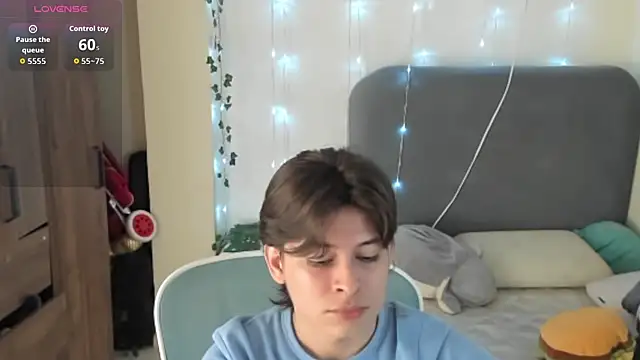 FelixSoft Webcam show