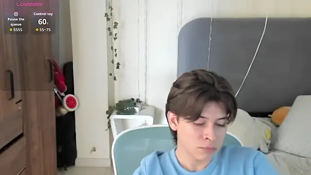 FelixSoftn Webbikameraesitys
