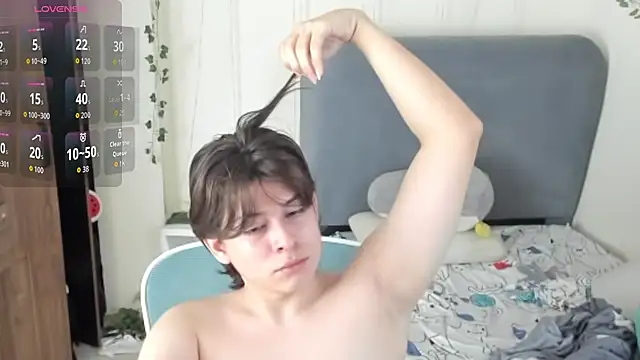 FelixSoft Webcam Show