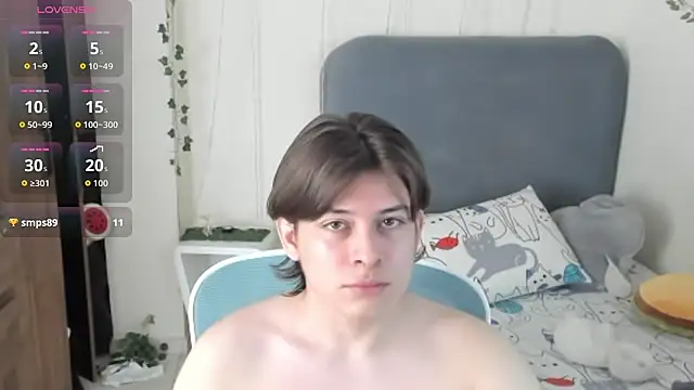 FelixSoft Webcam-Show