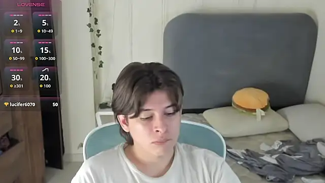 عرض كام FelixSoft