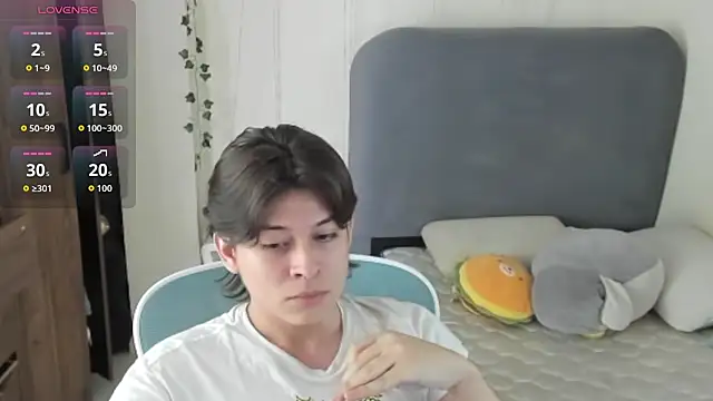FelixSoft 网络视讯表演