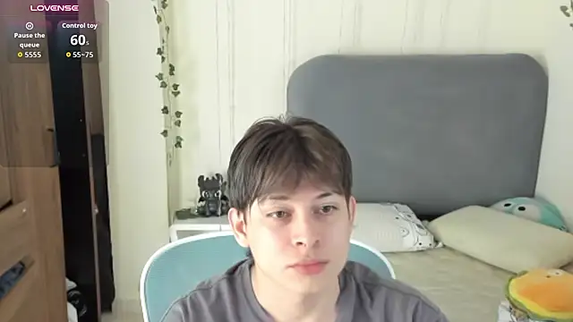 FelixSoft Pertunjukan Webcam