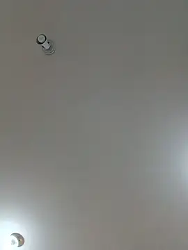 Show de webcam de Laurinhasafad