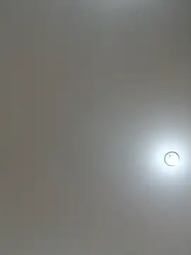Show de webcam de Laurinhasafad