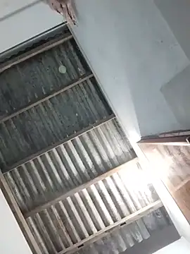 -Pan- 网络视讯表演