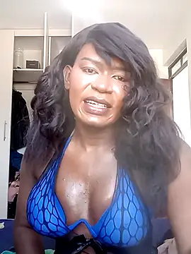 Show modela teasemetaly na web-kameri
