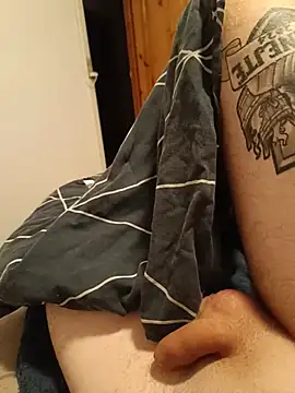 analbayn Webbikameraesitys