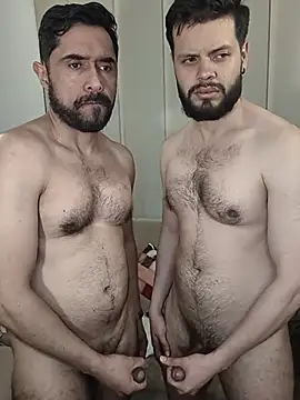 הופעת וובקאם של TonyAndTroy