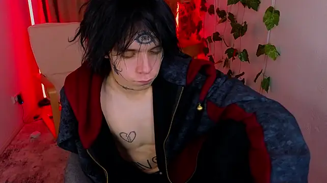 Show Webcam de lycius_