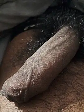 Show de webcam de kamz009