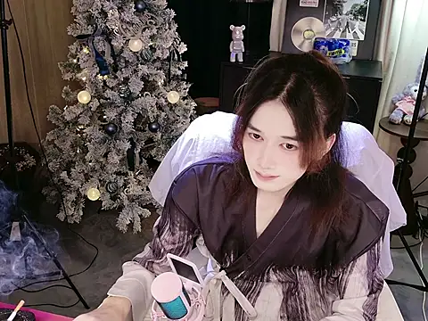 XiaoYan-1 网络视讯表演