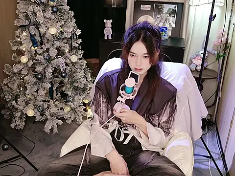 XiaoYan-1 웹캠 쇼