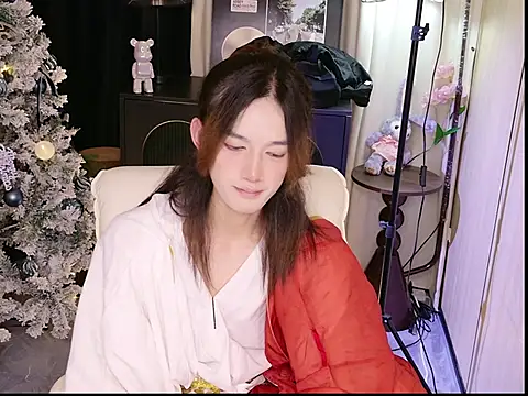 Show de XiaoYan-1 na webcam