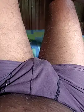 Show webcam de Roshini2026