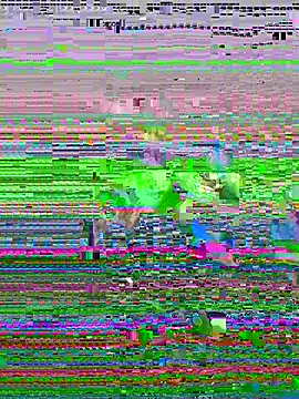 vladsjm 웹캠 쇼