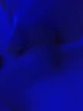Show Webcam de xoxoBoy34