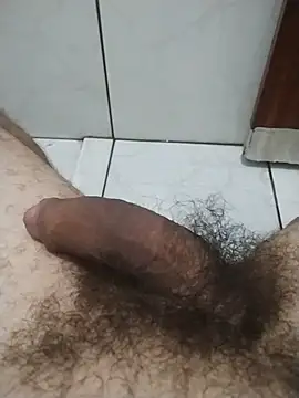 Show de webcam de PirocudoNaCAM