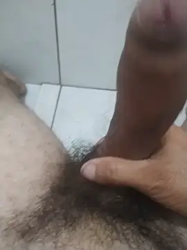 Show webcam de PirocudoNaCAM