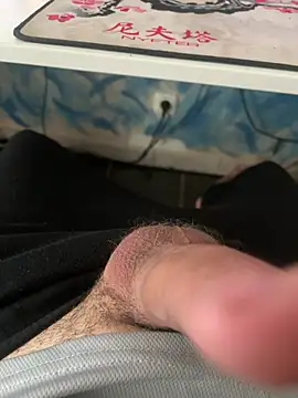 Pertunjukan Kamera Web hornyboy_204