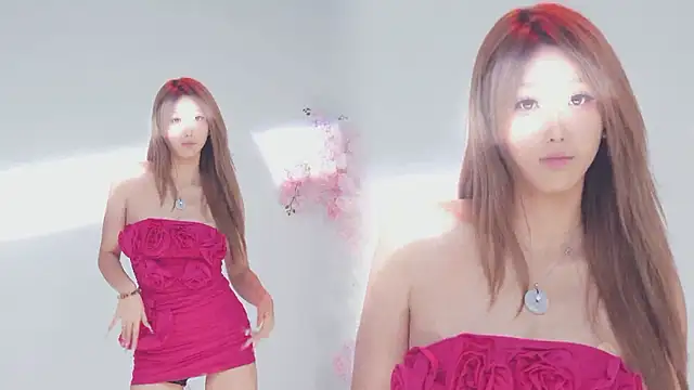 Show de webcam de SC-998