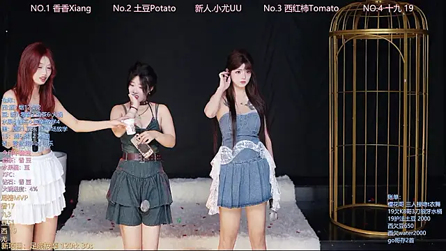 SC-998 Show Webcam