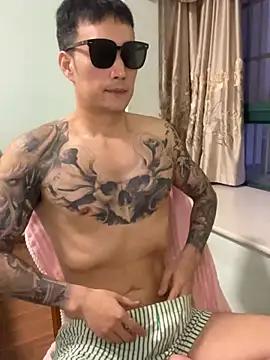 Panda-x Show in webcam