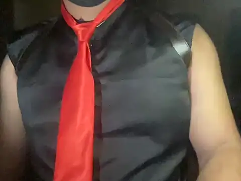 corporate__king 网络视讯表演