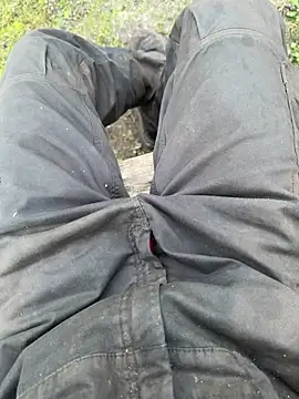 donkeyteam Webcam-Show
