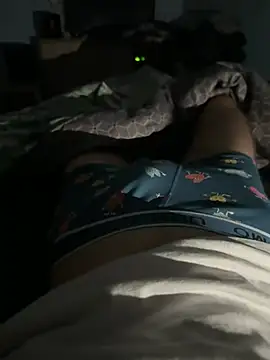 donkeyteam Webcam show