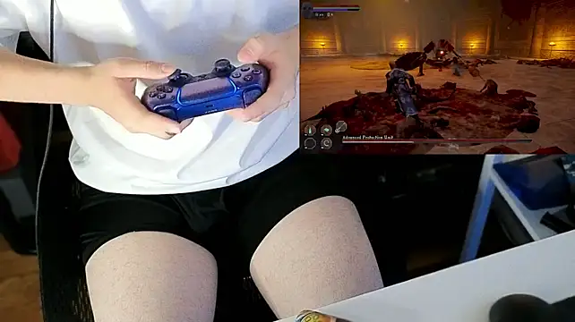 StickyJoystick Webcam show