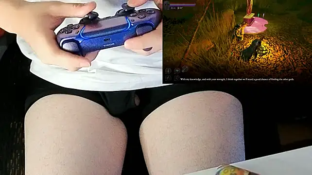 Show webcam de StickyJoystick