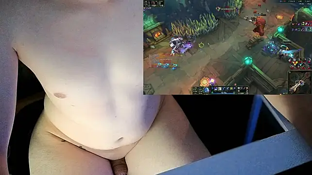Show Webcam de StickyJoystick