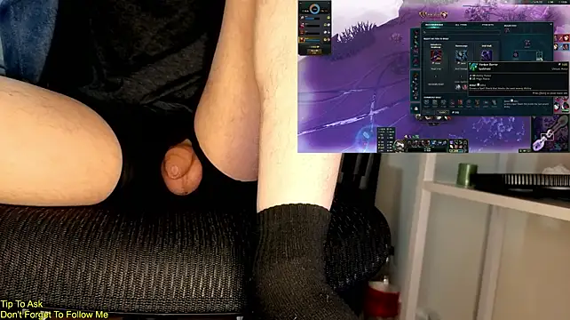 Show webcam de StickyJoystick