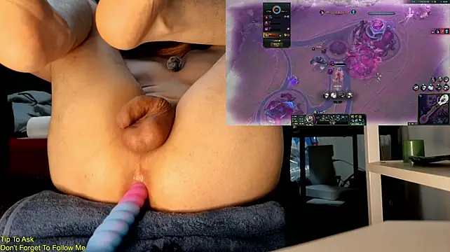 StickyJoystick Webcam show