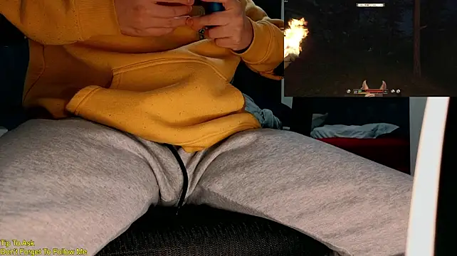 โชว์เว็บแคมของ StickyJoystick