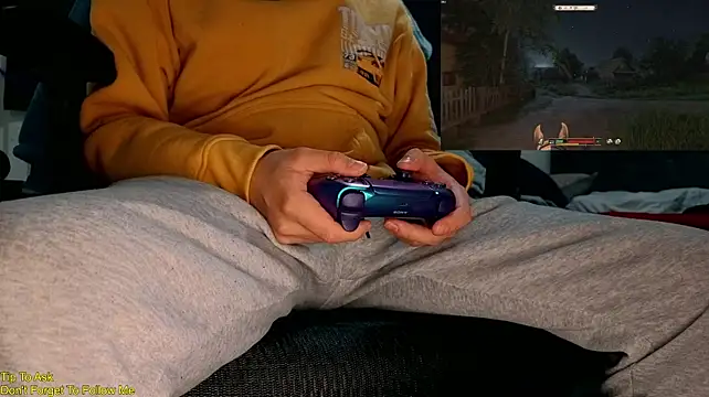 StickyJoystick Webcamshow