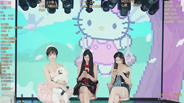 Rely-001 Webcam-Show
