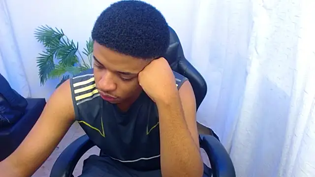 Show Webcam de camicum18