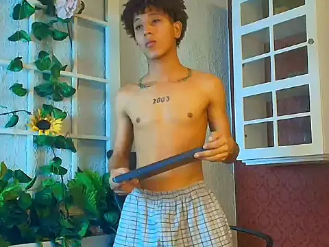 Show modela ArisStonne na web-kameri