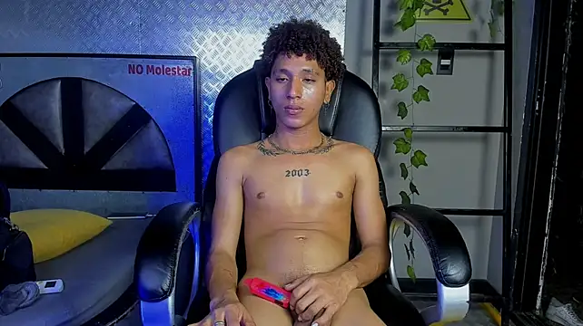 ArisStonne webcam show